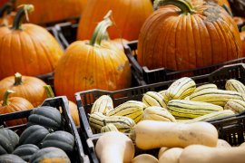 farm-to-school