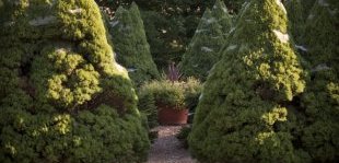 intimate Walking maze | Jackson House Inn