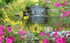 Jumping Rocks Garden