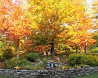 Bed and Breakfast in Stowe VT