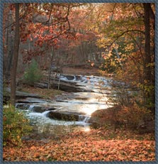 Woodstock NY Lodging - Nature walk